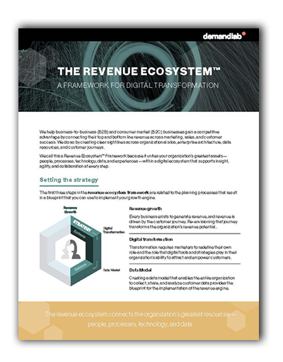 DemandLab Revenue Ecosystem™ Framework info sheet