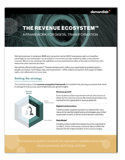 DemandLab Revenue Ecosystem™ Framework info sheet