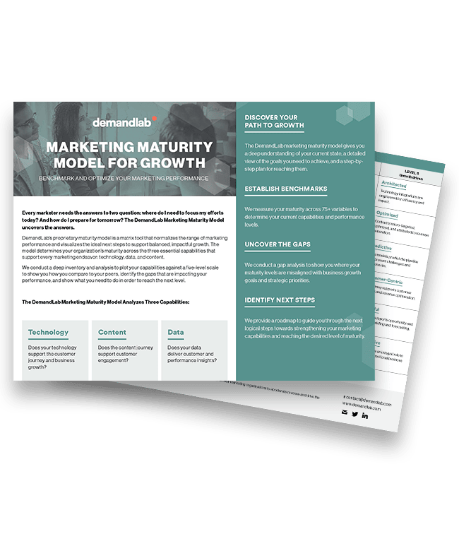 DemandLab - Info Sheet - Marketing Maturity Model