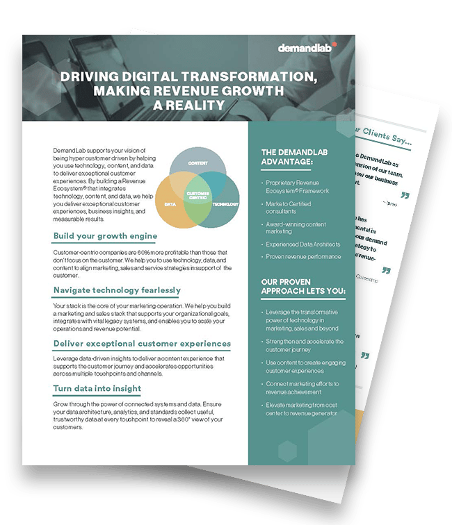 DemandLab - Info Sheet - DL Service Overview