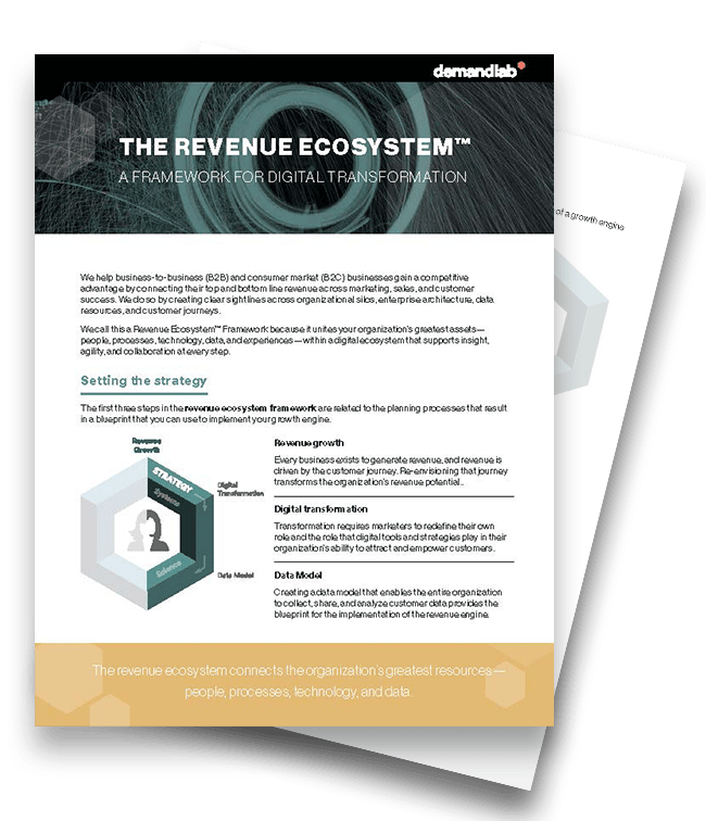 DemandLab - Info Sheet - Revenue Ecosystem Overview