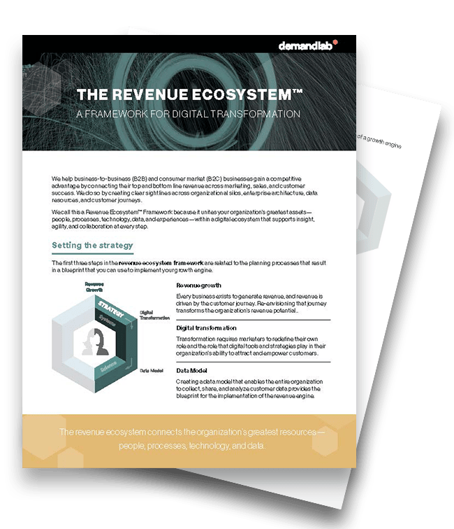 DemandLab - Info Sheet - Revenue Ecosystem Overview